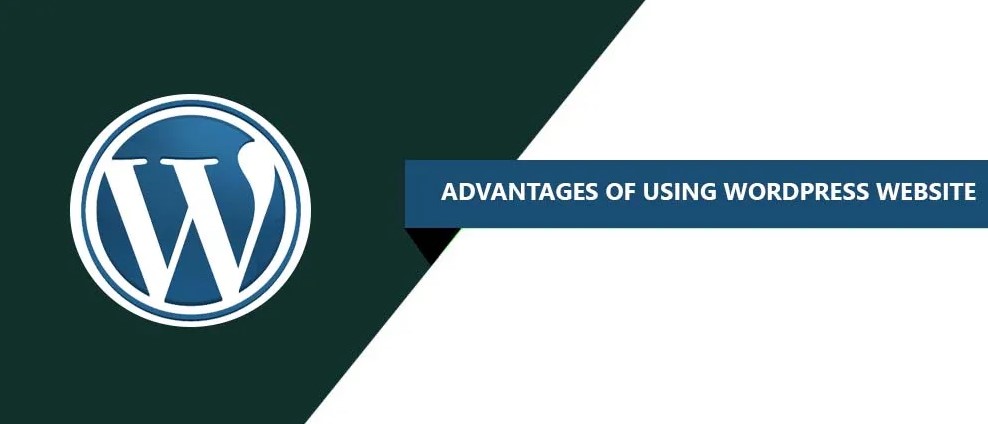 advantages of Wordpress website